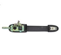 Manecilla exterior de la puerta BLIC 6010-07-017403P para BRAVA (182_) 1.2 2000-