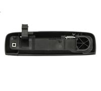 Manecilla exterior de la puerta BLIC 6010-07-034402P para IDEA (350_) 1.8 2008-