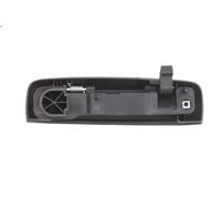 Manecilla exterior de la puerta BLIC 6010-07-034403P para IDEA (350_) 1.3 2008-