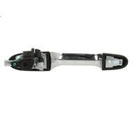 Manecilla exterior de la puerta BLIC 6010-07-041401P para 500 (312_) 0.9 2013-