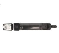 Manecilla exterior de la puerta BLIC 6010-16-038402P para QASHQAI I 2 2010-2014