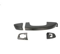 Manecilla exterior de la puerta BLIC 6010-43-009404P para GOLF VI (5K1) 2 2009-