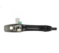 Manecilla exterior de la puerta BLIC 6010-58-011401P para 300C (LX) 3.6 2011-