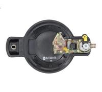 Manecilla exterior de la puerta BLIC para DOBLO Monospace (119_, 223_) 1.3 2004-