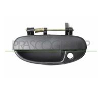 PRASCO DW0208002 Manecilla de puerta