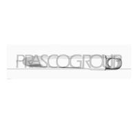 Manecilla Exterior De La Puerta Prasco FD0088005 para Ford