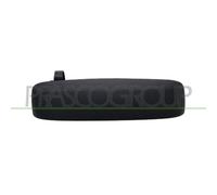 Manecilla Exterior De La Puerta Prasco FT1228201 para Fiat