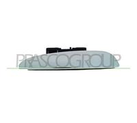 Manecilla Exterior De La Puerta Prasco FT5208106 para Fiat