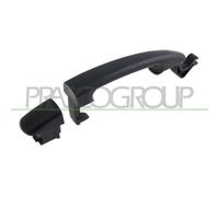 PRASCO FT9238113 Manecilla de puerta