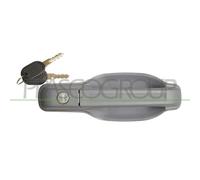 Tirador de puerta delantera izquierda exterior gris con