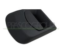 PRASCO FT9268002 Manecilla de puerta