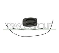 Manecilla Exterior De La Puerta Prasco FT9308141 para Citroën Fiat Peugeot