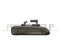 Manecilla Exterior De La Puerta Prasco HN3208001 para Hyundai