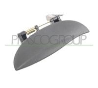 PRASCO Türgriff HN3208002
