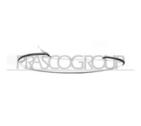Manecilla Exterior De La Puerta Prasco MN3048005 para Mini