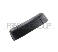 Manecilla Exterior De La Puerta Prasco SZ0548301 para Suzuki