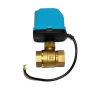Manera Motorizada Energía Eléctrica De La Válvula DN15 DN20 DN25 DN32 DN40 2 Bola 3 Maneras ConservacióN Del Agua(DN40 2 way,AC)