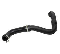 Manguera De Admisión Turbo Para Renault Scénic I 1.9 dCi Gran Familiar