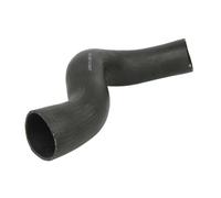 Manguera de aire de carga THERMOTEC DC1504TT