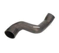 Manguera de aire de carga THERMOTEC DCA013TT