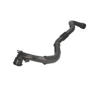 Manguera de aire de carga THERMOTEC DCA029TT