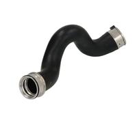 Manguera de aire de carga THERMOTEC DCB124TT