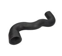 Manguera de aire de carga THERMOTEC DCC069TT