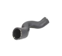Manguera de aire de carga THERMOTEC DCF080TT