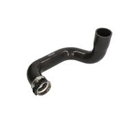 Manguera de aire de carga THERMOTEC DCF094TT