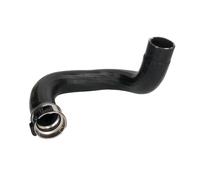 Manguera de aire de carga THERMOTEC DCF104TT