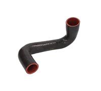Manguera de aire de carga THERMOTEC DCF136TT