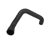 Manguera de aire de carga THERMOTEC DCG265TT