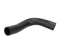 Manguera de aire de carga THERMOTEC DCG271TT