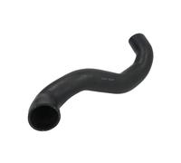 Manguera de aire de carga Thermotec DCG273TT