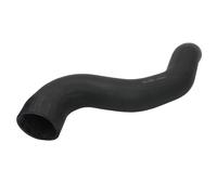 Manguera de aire de carga THERMOTEC DCI041TT