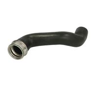 Manguera de aire de carga THERMOTEC DCM124TT