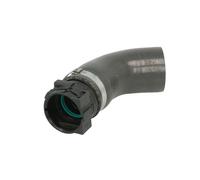 Manguera de aire de carga THERMOTEC DCR185TT