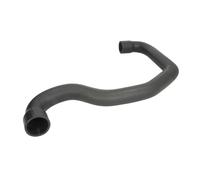 Manguera de aire de carga THERMOTEC DCR192TT
