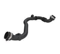 Manguera de aire de carga THERMOTEC DCR250TT