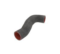 Manguera de aire de carga THERMOTEC DCV021TT derecha
