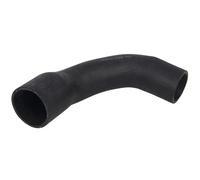 Manguera de aire de carga THERMOTEC DCV031TT