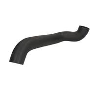 Manguera de aire de carga THERMOTEC DCV039TT