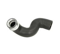 Manguera de aire de carga THERMOTEC DCW178TT