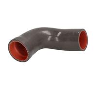 Manguera de aire de carga THERMOTEC DCX107TT