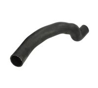 Manguera de aire de carga THERMOTEC DCY007TT