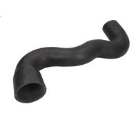 Manguera de aire de sobrealimentació THERMOTEC DCC069TT para C5 I (DC_) 2 2001-