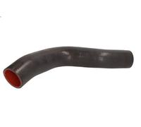 Manguera de aire de carga THERMOTEC DCR229TT