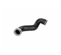 Tubo de aire 166068 NRF para AUDI A4 B6 A4 B6 Avant A4 B7 A4 B7 Avant
