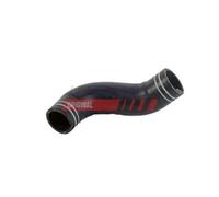 Manguera De Aire De Sobrealimentación Fast FT61720 para Fiat