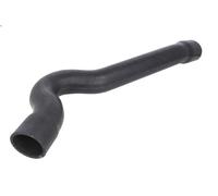 Manguera de aire de sobrealimentación THERMOTEC DCC040TT para C5 I 2 2001-2004